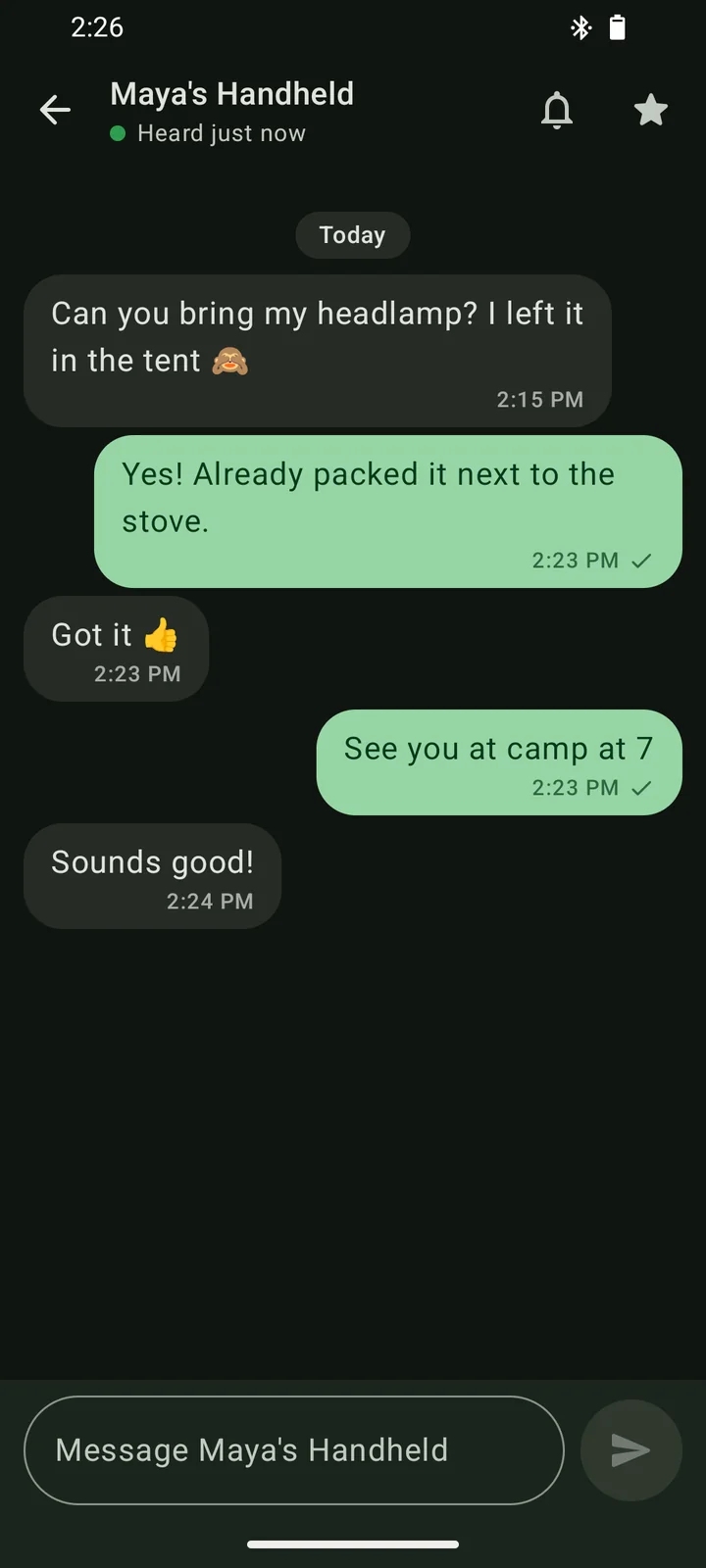 An end-to-end encrypted direct message thread with Maya's Handheld, with delivered checks under the sent messages